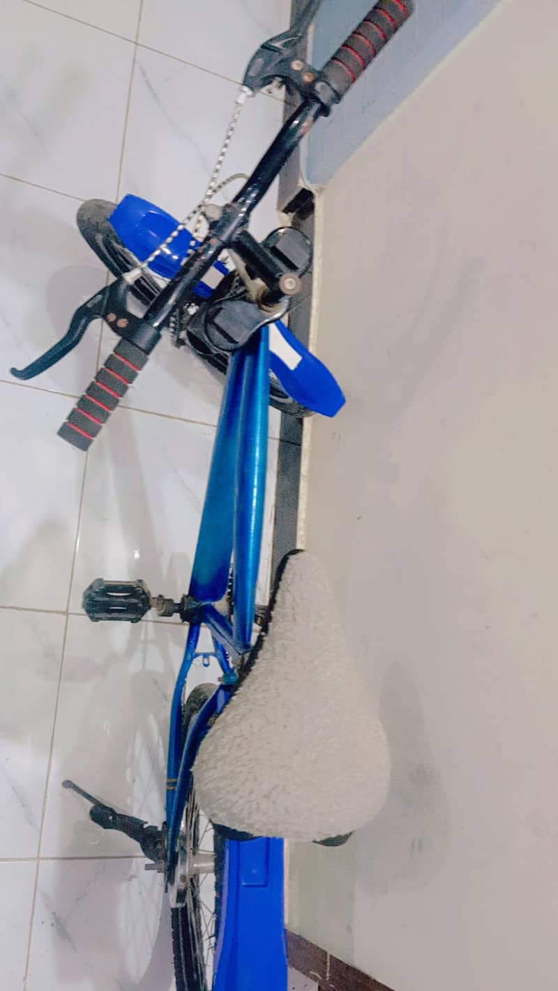 mountain bicycle 1