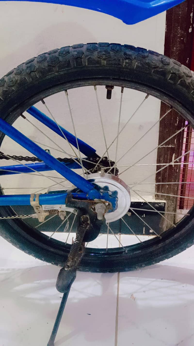 mountain bicycle 2