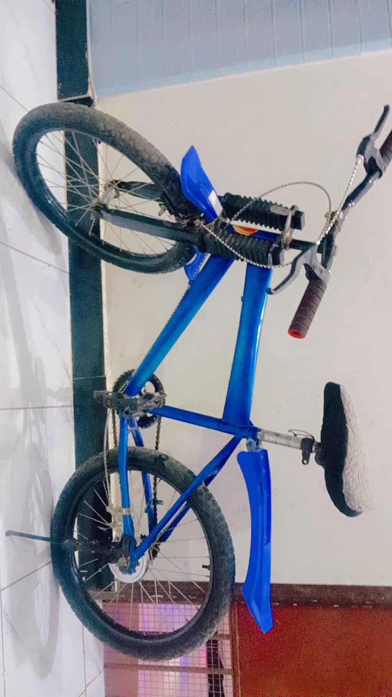 mountain bicycle 4