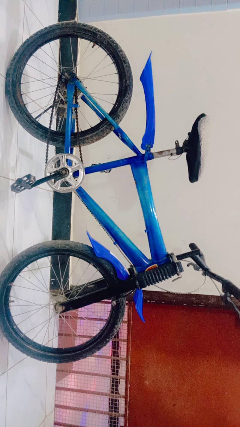 mountain bicycle 5