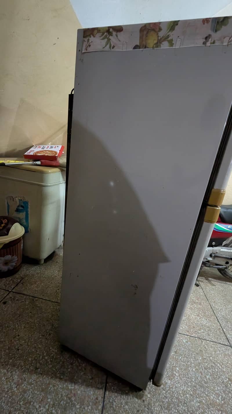 refrigerator 1