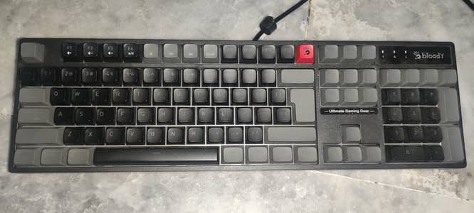 Bloody (b230n) neon gaming keyboard