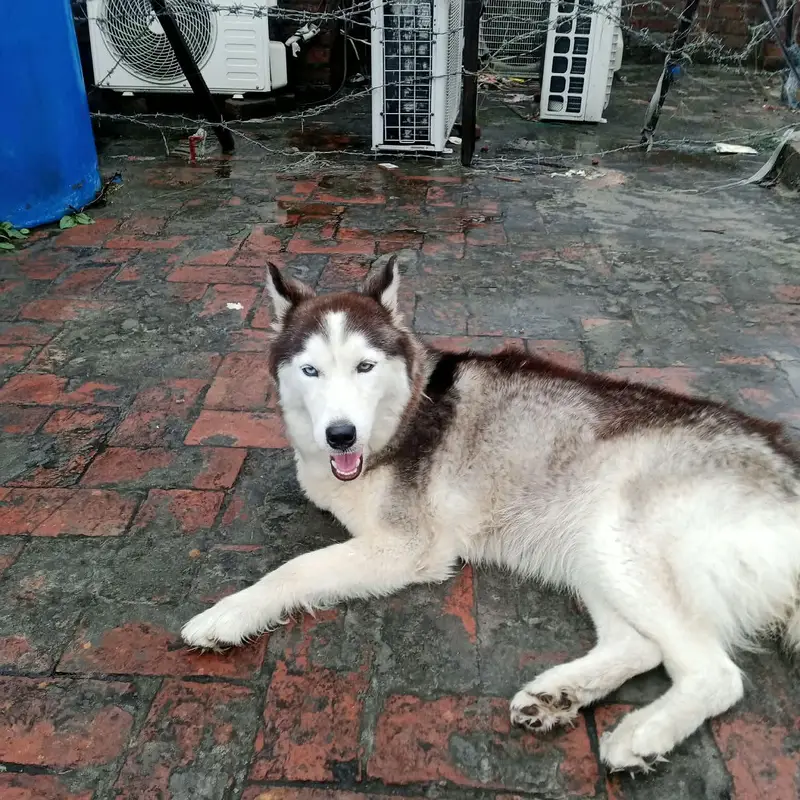 price is negotiable — photo 2