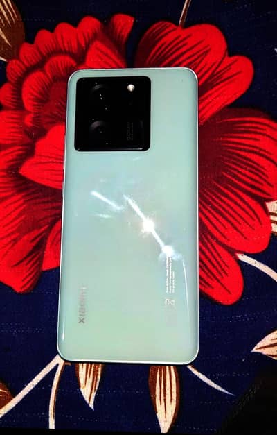 Xiaomi 13T Pro 2 months sim working