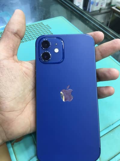 Apple iPhone 12 dual pta approved