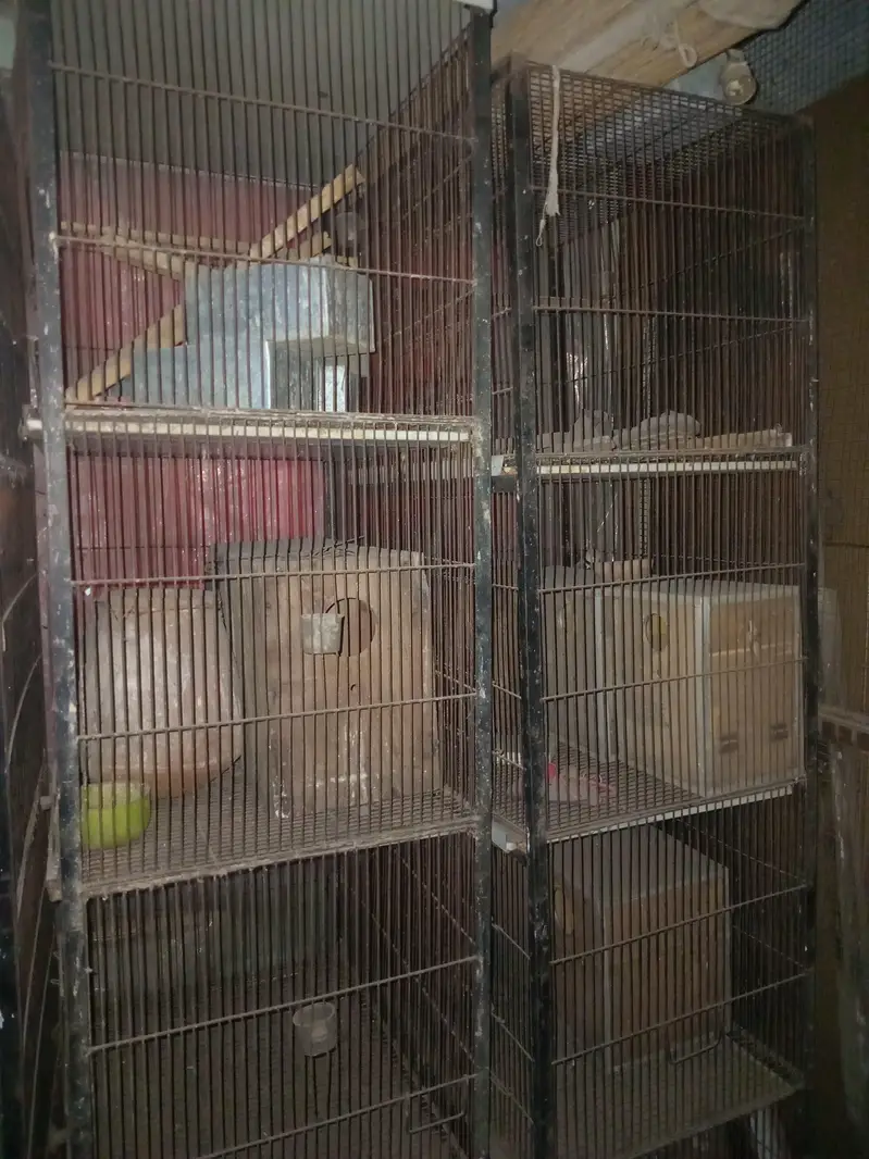 1.5 bye 2 cage 4 portion — photo 2