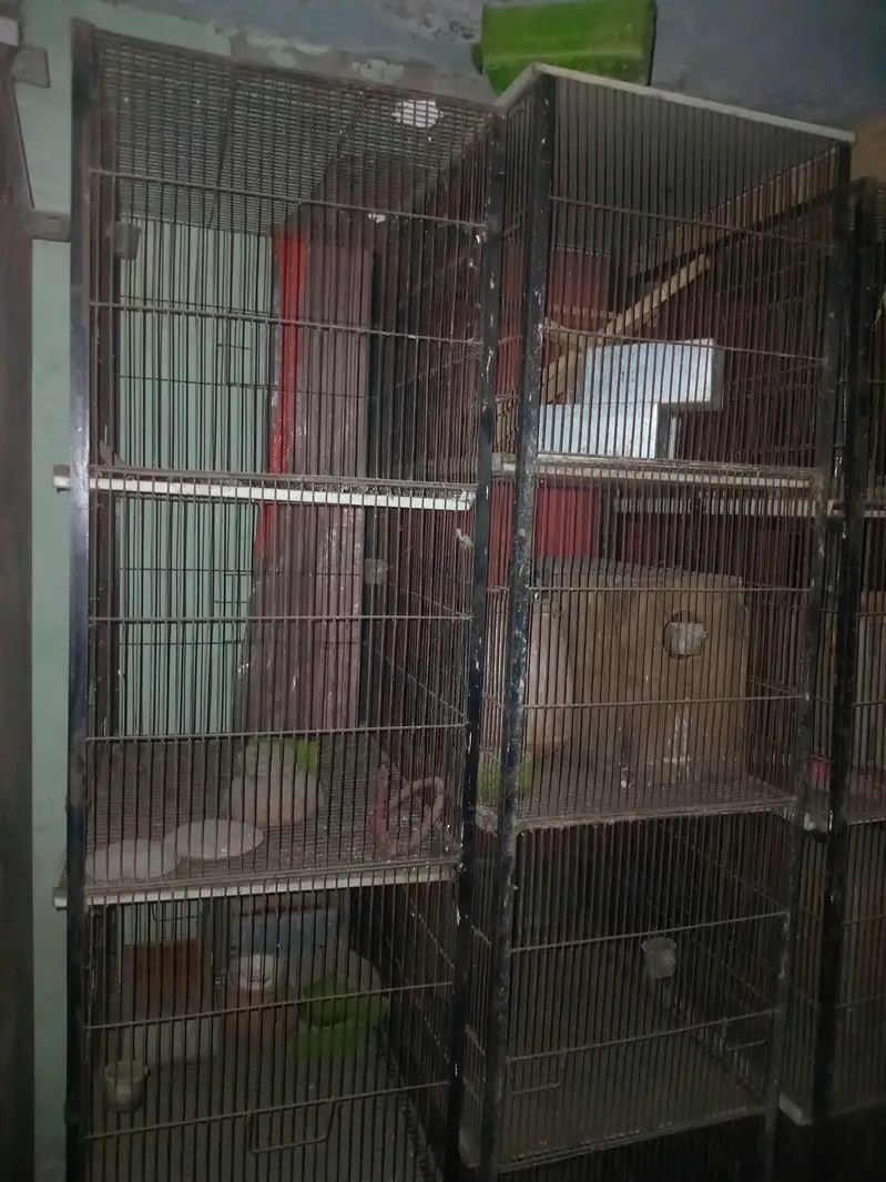 1.5 bye 2 cage 4 portion — photo 4