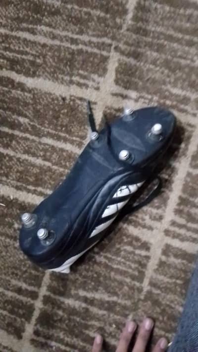 adidas sg studs