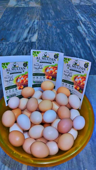 Desi Eggs