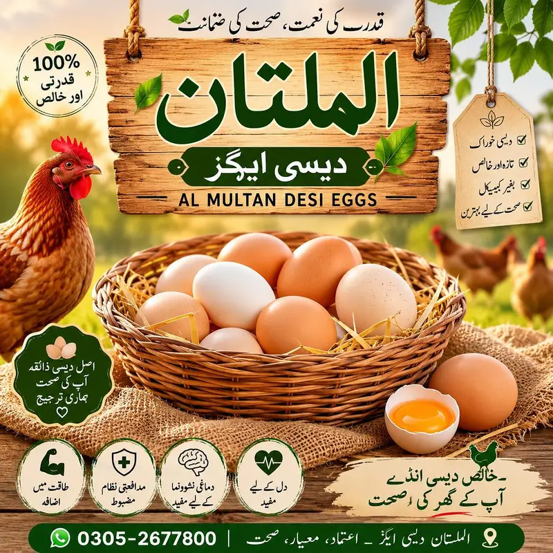 Desi Eggs — photo 6