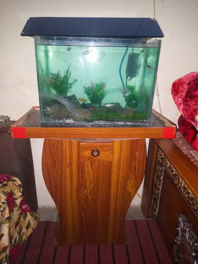 aquarium nd fishes — photo 3