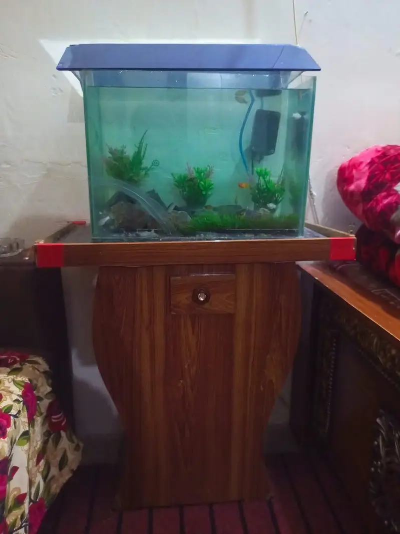 aquarium nd fishes — photo 4