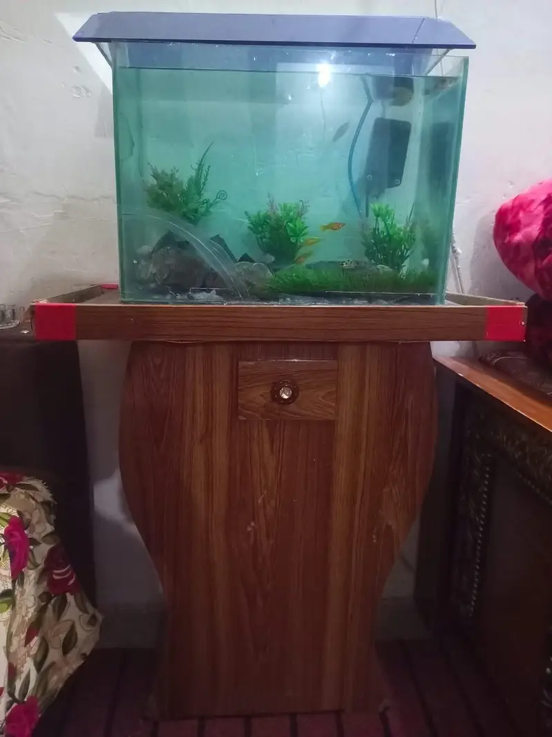 aquarium nd fishes — photo 5