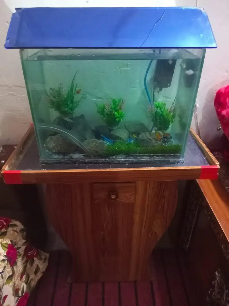 aquarium nd fishes — photo 6