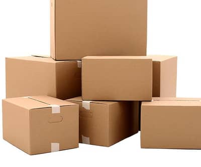 Kraft Boxes Cartons & Hand Bags