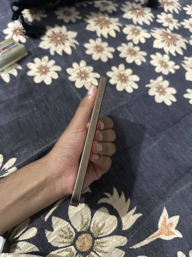 Apple iPhone 16 Pro Max 0