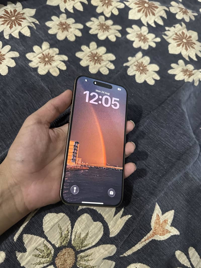 Apple iPhone 16 Pro Max 1