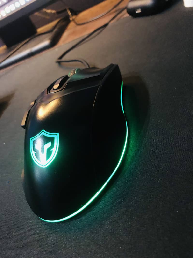 Branded Mouse 12