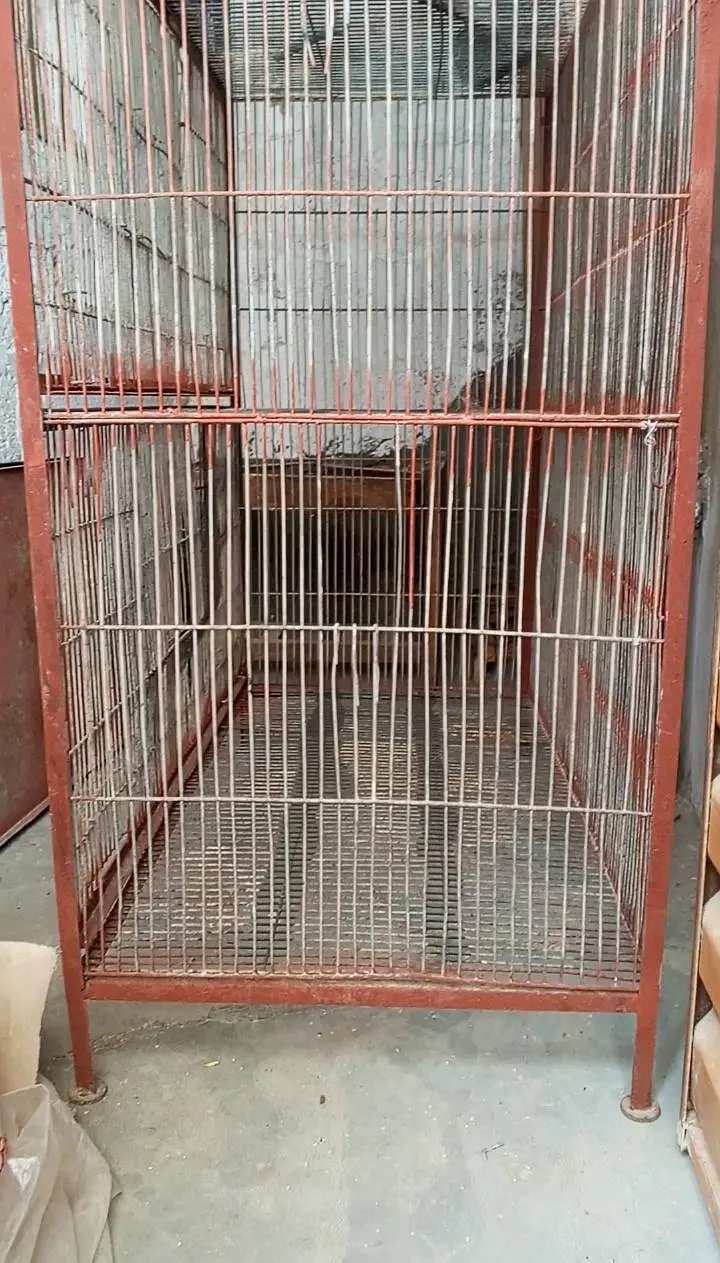 birds cage — photo 2