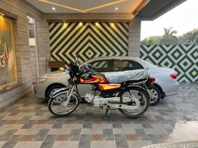 Honda | CD 70 | Black 06 - 2026 | APL4