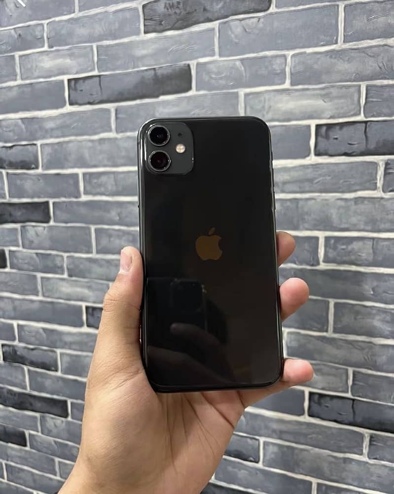 Apple iPhone 11 0