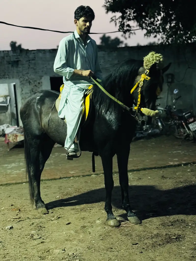 Paka neza Baz Ghora ground ka saaf suthra — photo 7