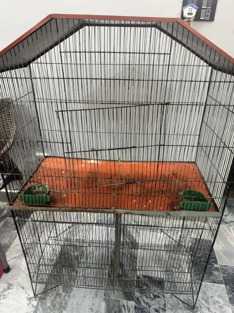 Cage ( pinjra ) for sale — photo 2