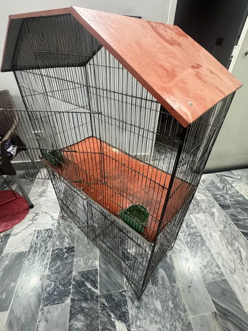 Cage ( pinjra ) for sale — photo 4
