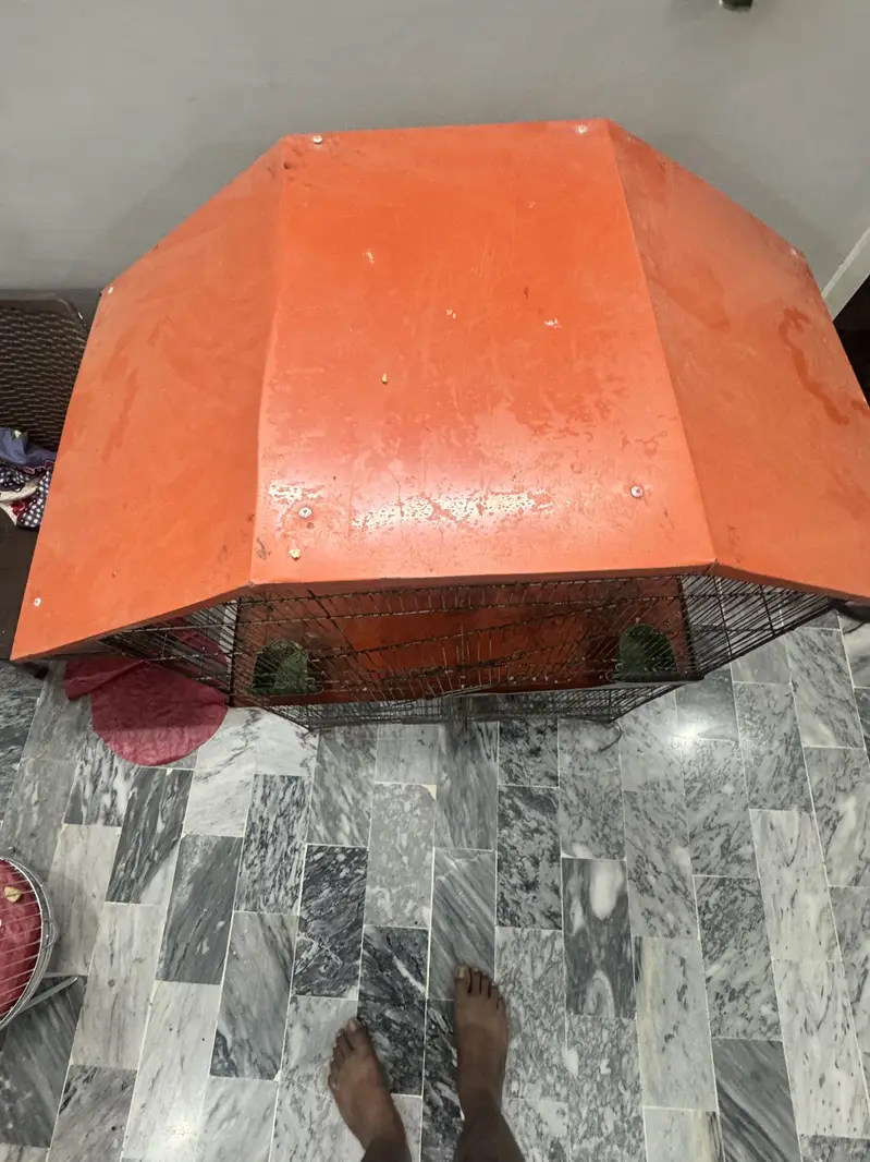 Cage ( pinjra ) for sale — photo 5