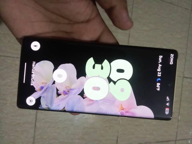 Google Pixel 6 Pro 1