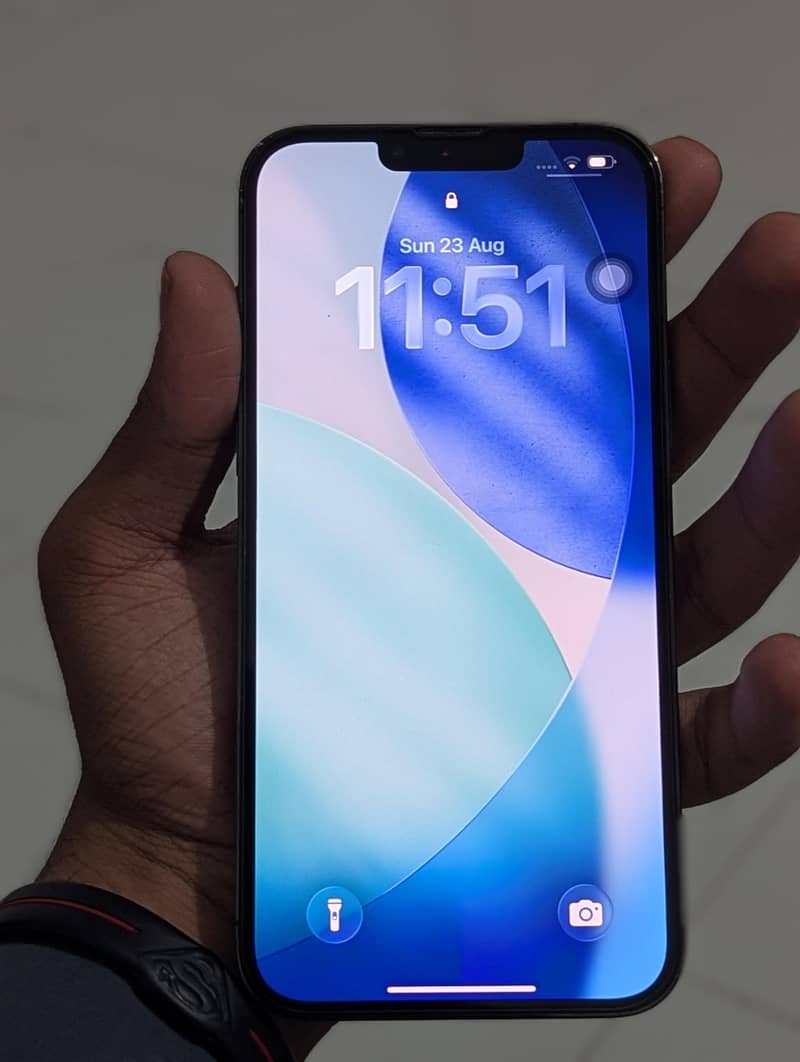 Apple iPhone 13 Pro Max 12