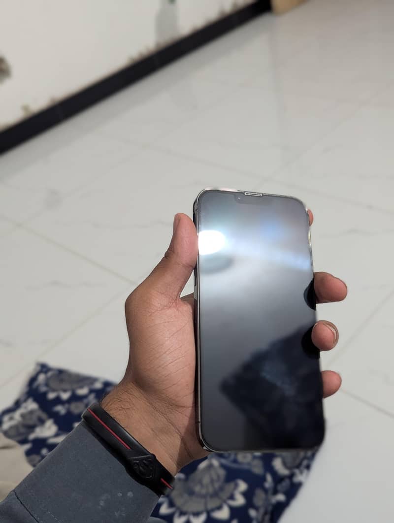 Apple iPhone 13 Pro Max 13