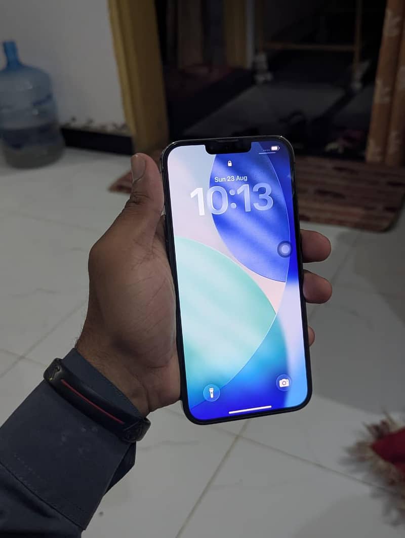 Apple iPhone 13 Pro Max 14