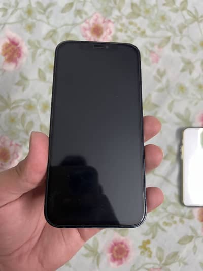 Apple iPhone 12