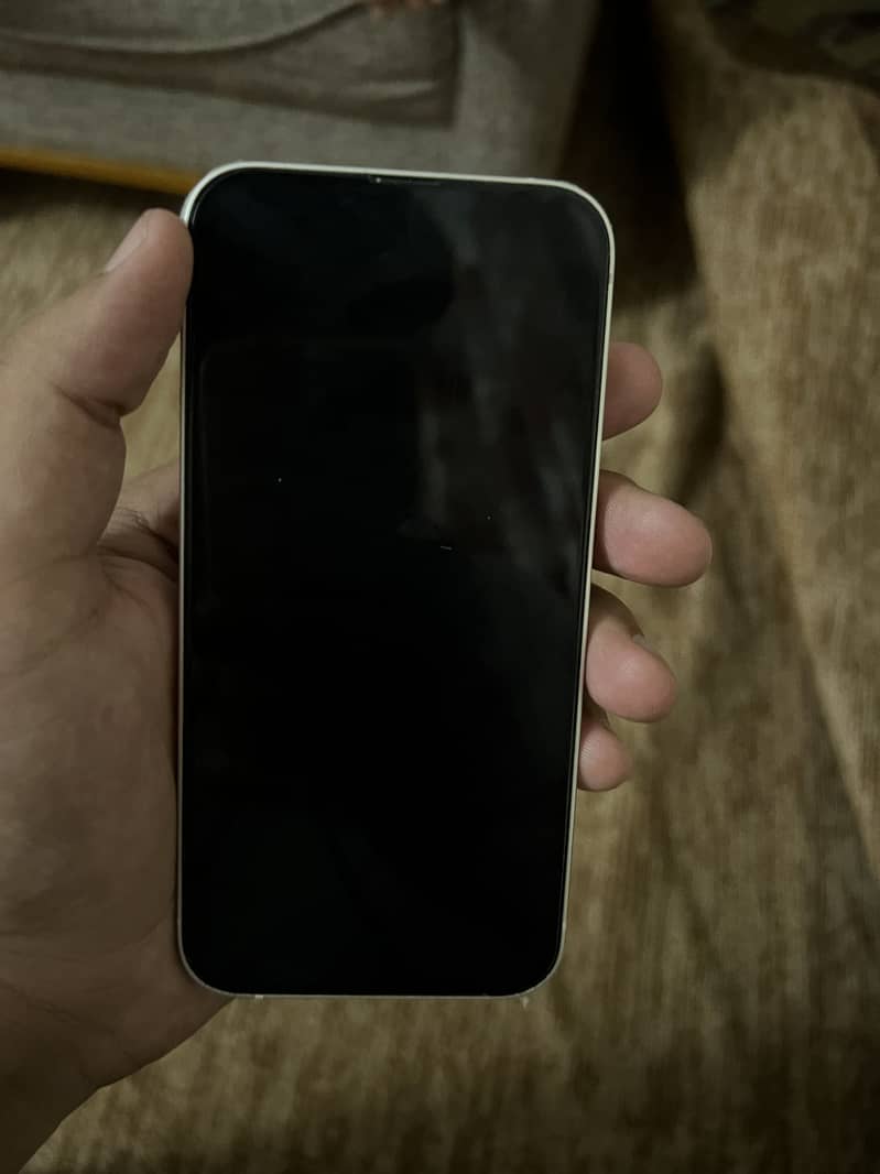 Apple iPhone 13 0