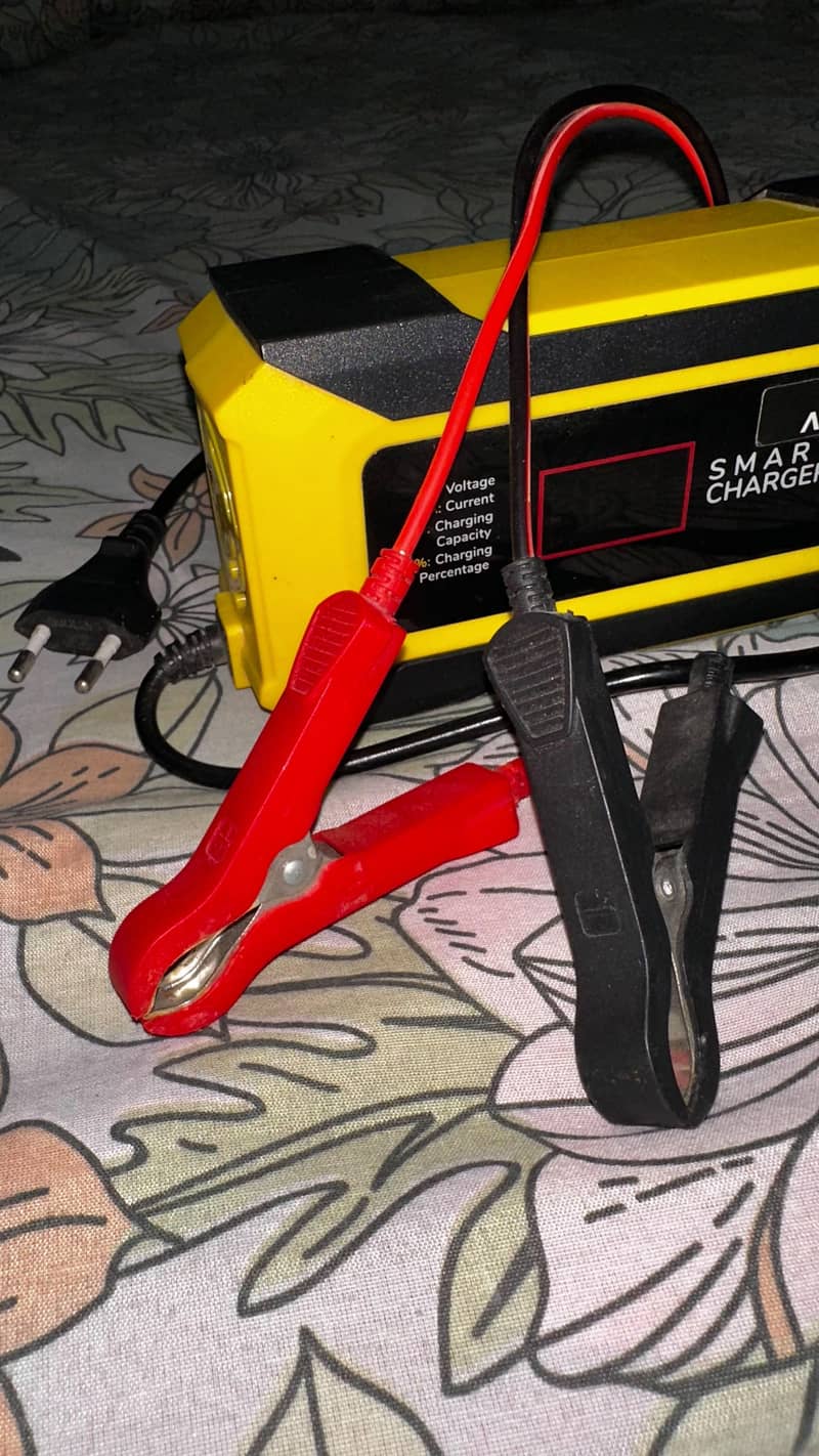 Access Smart Charger 1