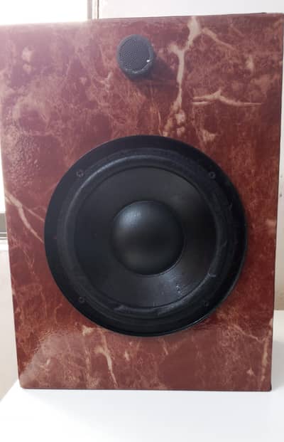 Technics Original Japanese Speaker