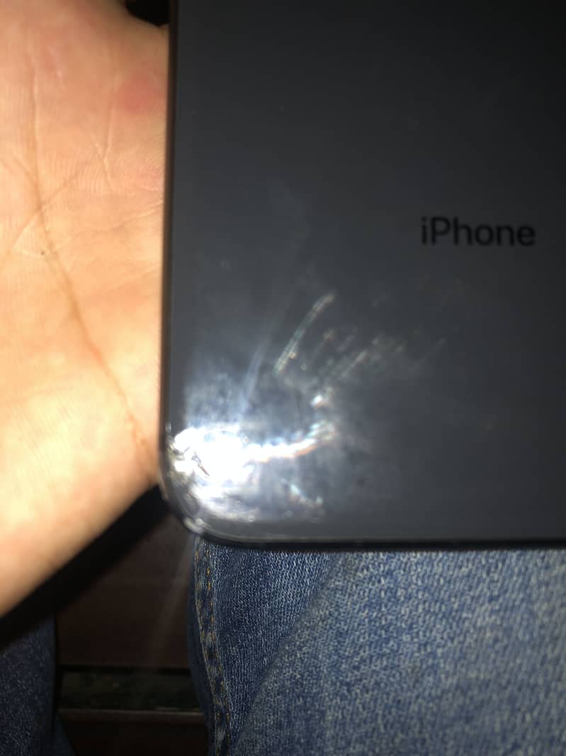 Apple iPhone 8 Plus 6