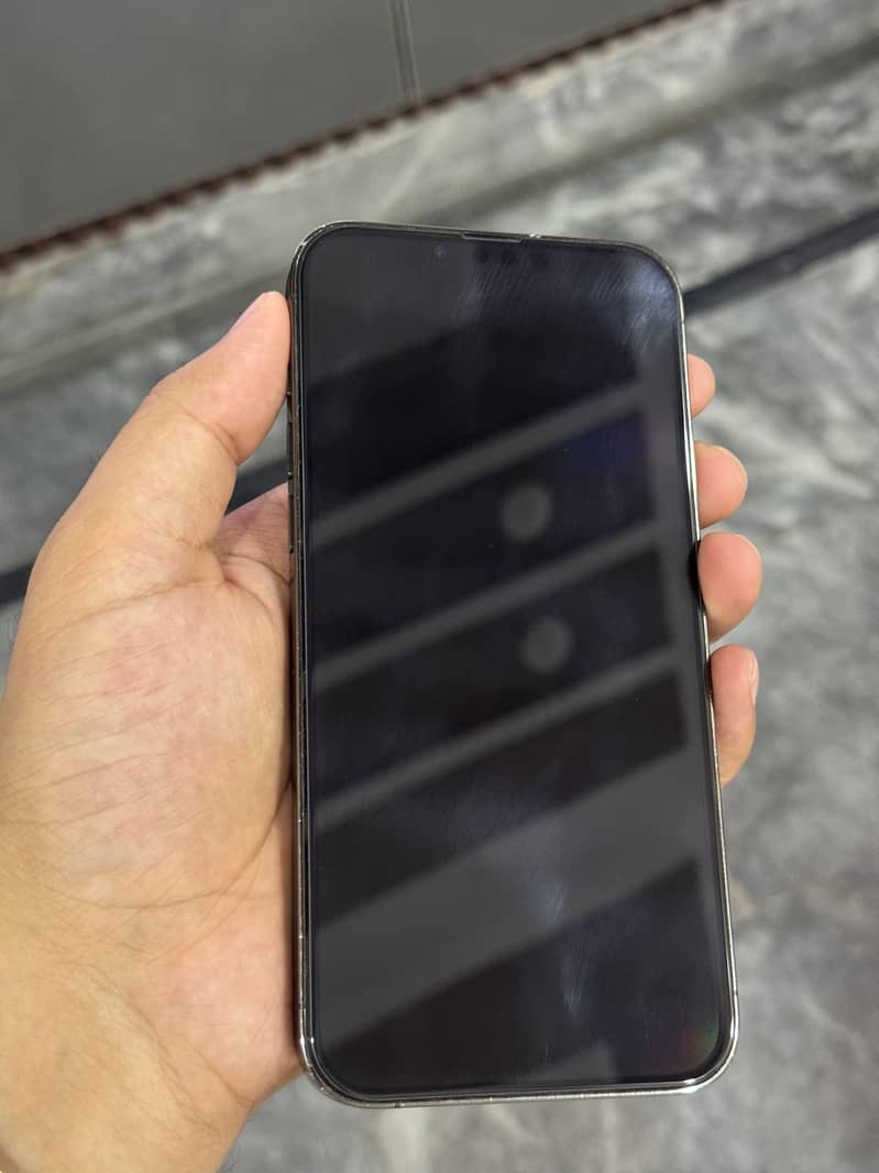 Apple iPhone 13 Pro Max 1