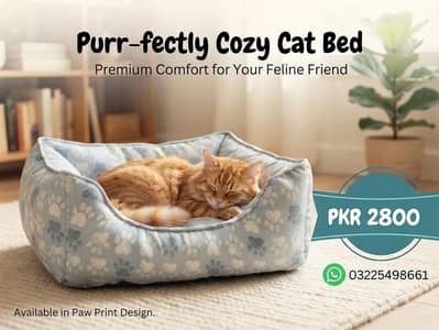 Cat Bed - Brand New