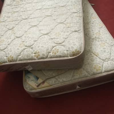 Master Molty foam single spring mattress