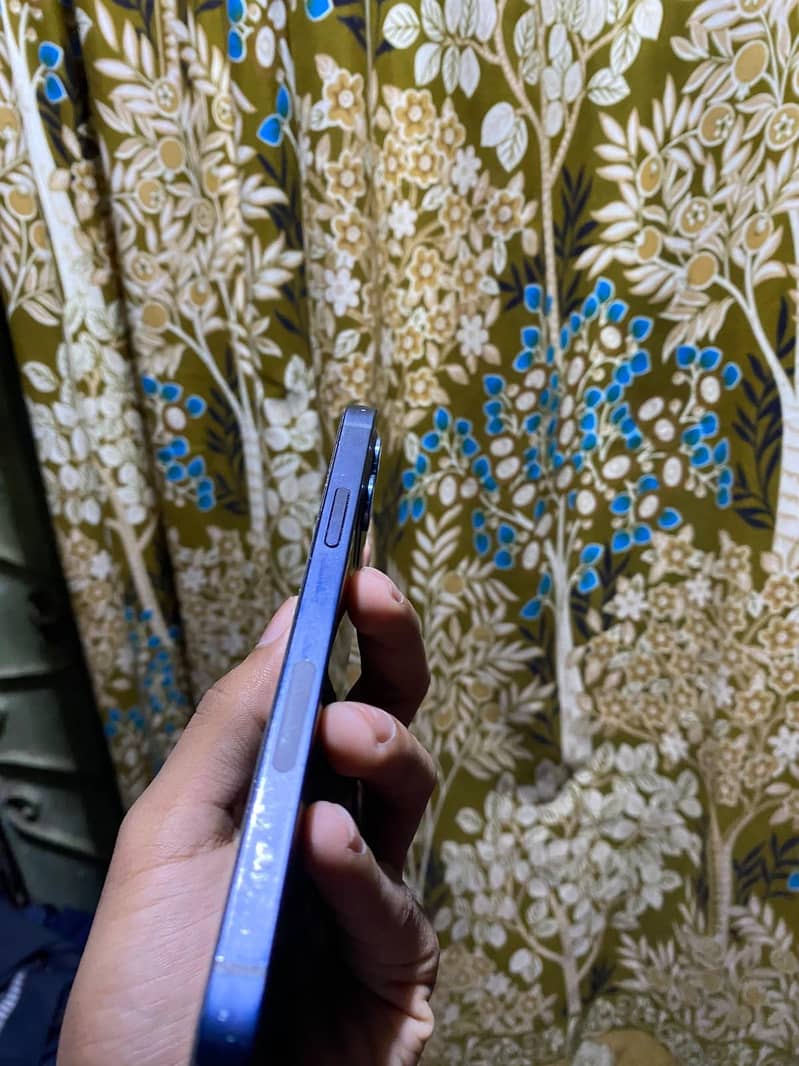 Apple iPhone 12 1