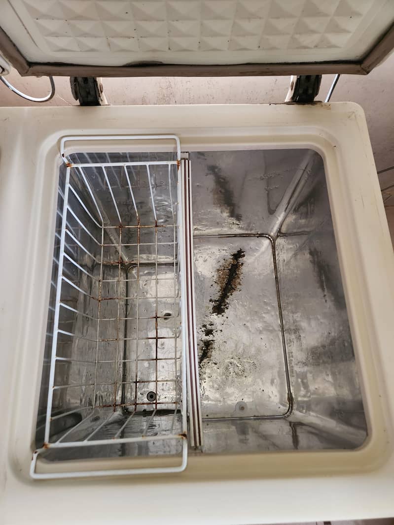 Freezer 10