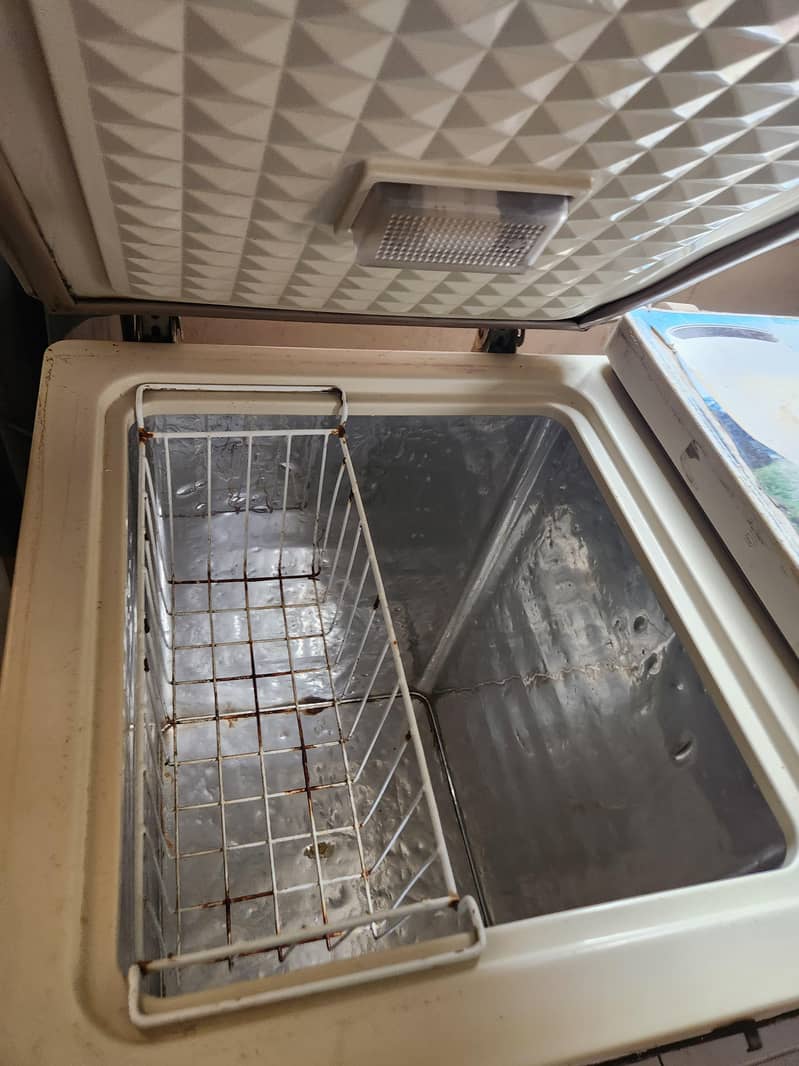 Freezer 13