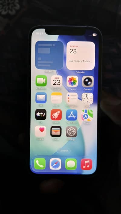 Apple iPhone 12 mini