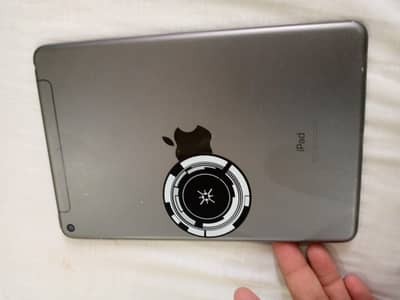 I pad Mini 5  water pack