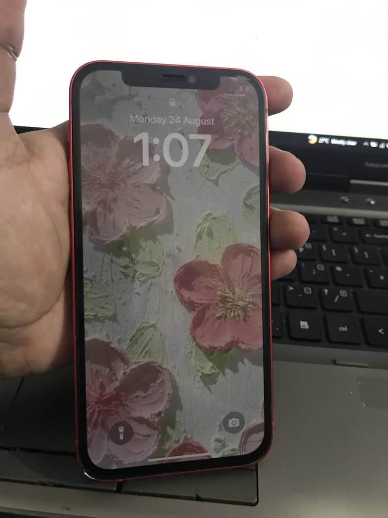 Apple iPhone 12 3