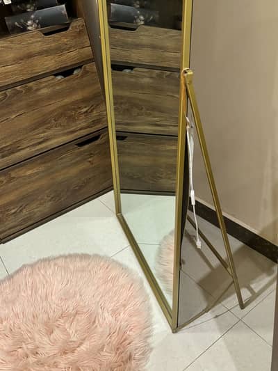Dome shaped trending mirror pinterest inspired