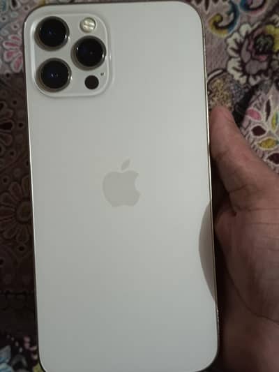 Apple iPhone 12 Pro Max