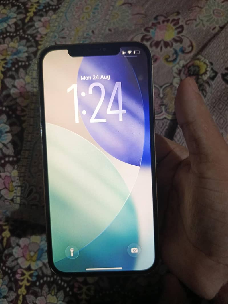 Apple iPhone 12 Pro Max 1